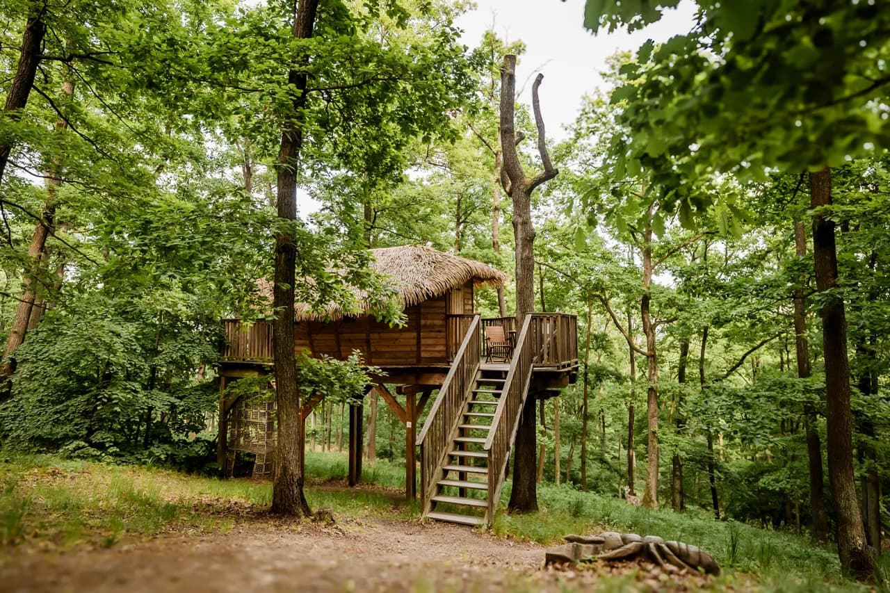 TREE HOUSE U MRAVENCE
