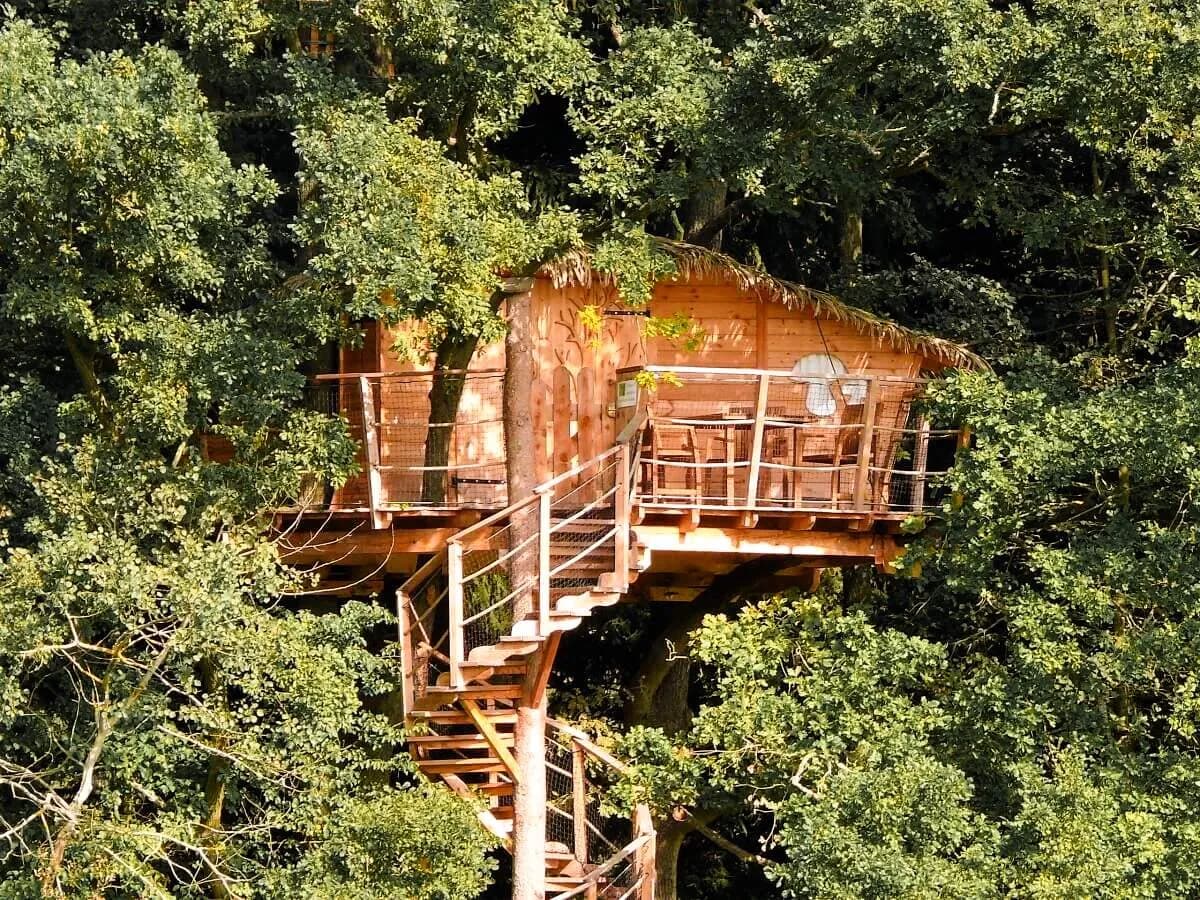 Tree House Tři Duby – image 3