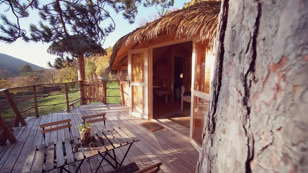 PinePoint – image 4