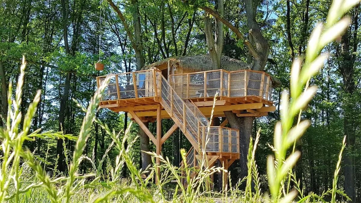 Tree House U Borovice – image 2