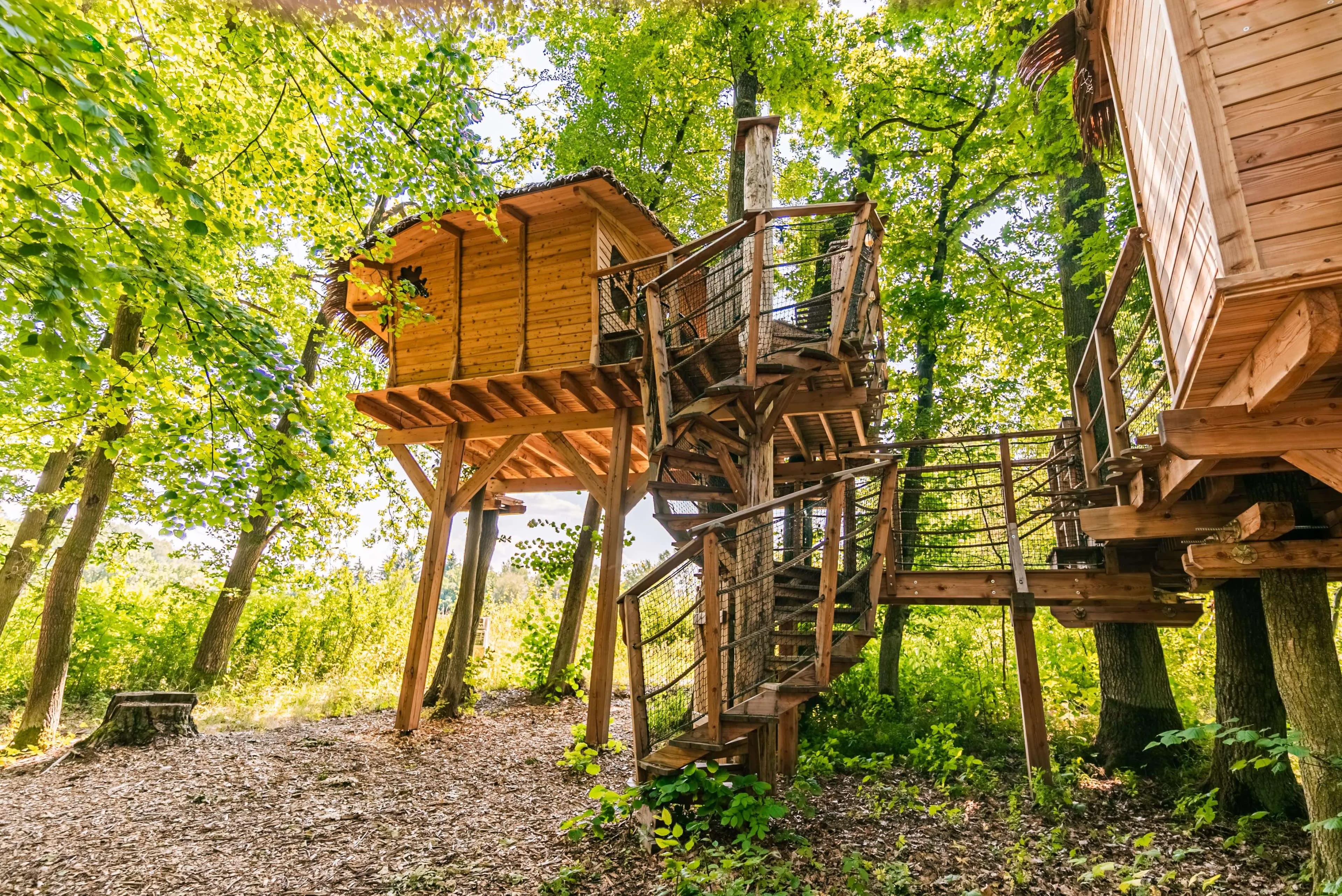 Tree House V Lipách & Spa – image 3