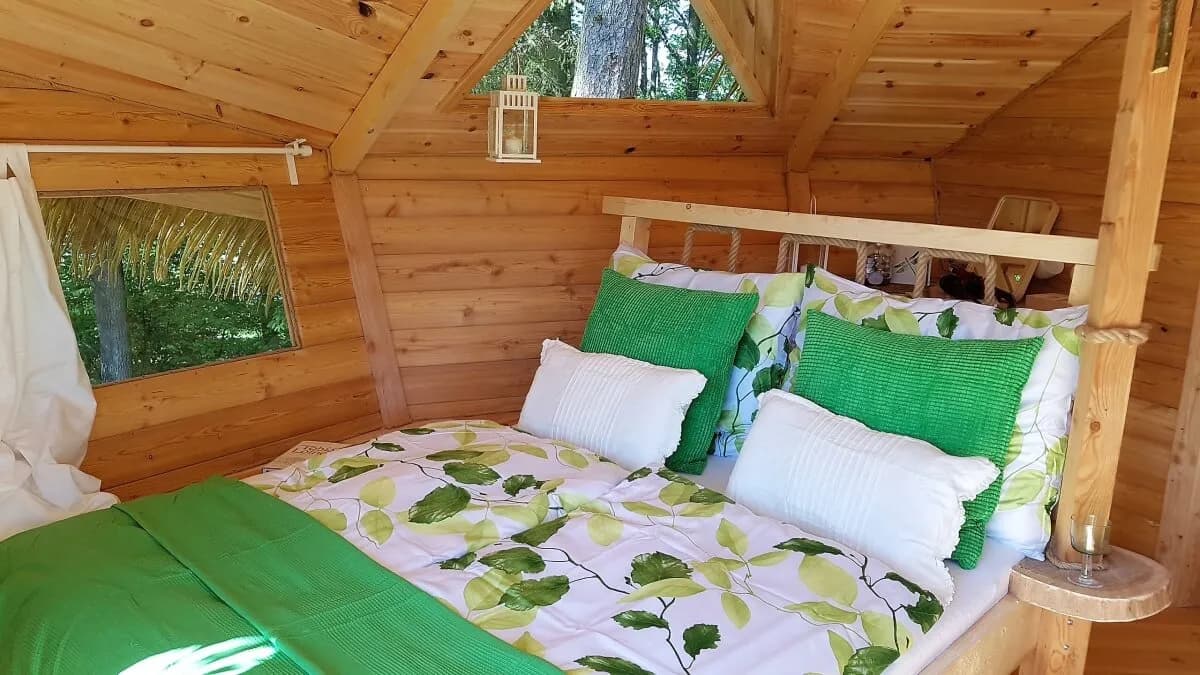 Tree House U Borovice – image 3