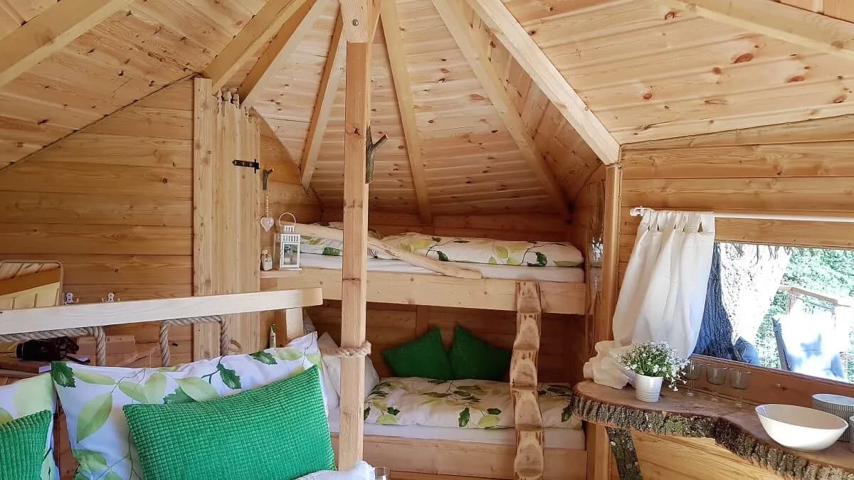 Tree House U Borovice – image 4