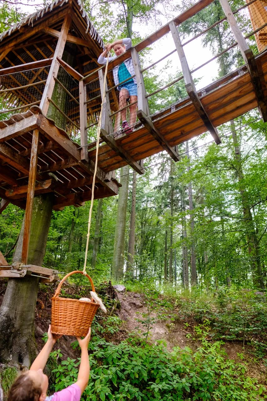 TREE HOUSE SOJČÍ HNÍZDO – image 2
