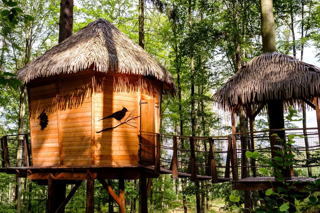 TREE HOUSE SOJČÍ HNÍZDO – image 3