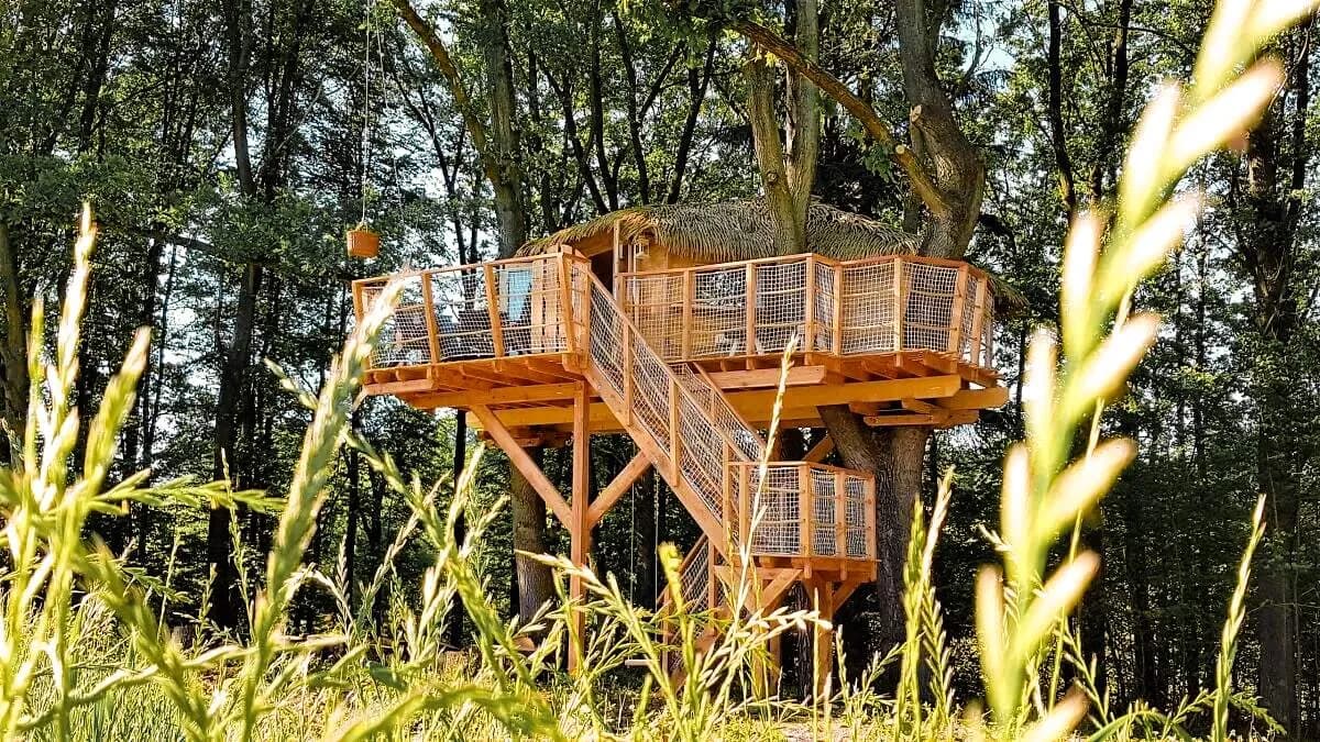 Tree House U Borovice
