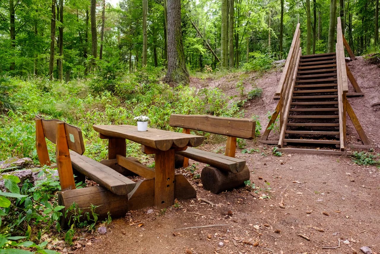 TREE HOUSE SOJČÍ HNÍZDO – image 4