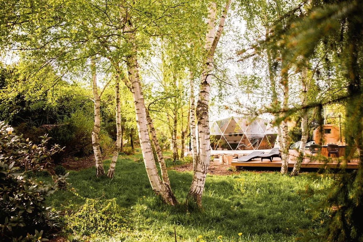 Igloo Mileč – image 3