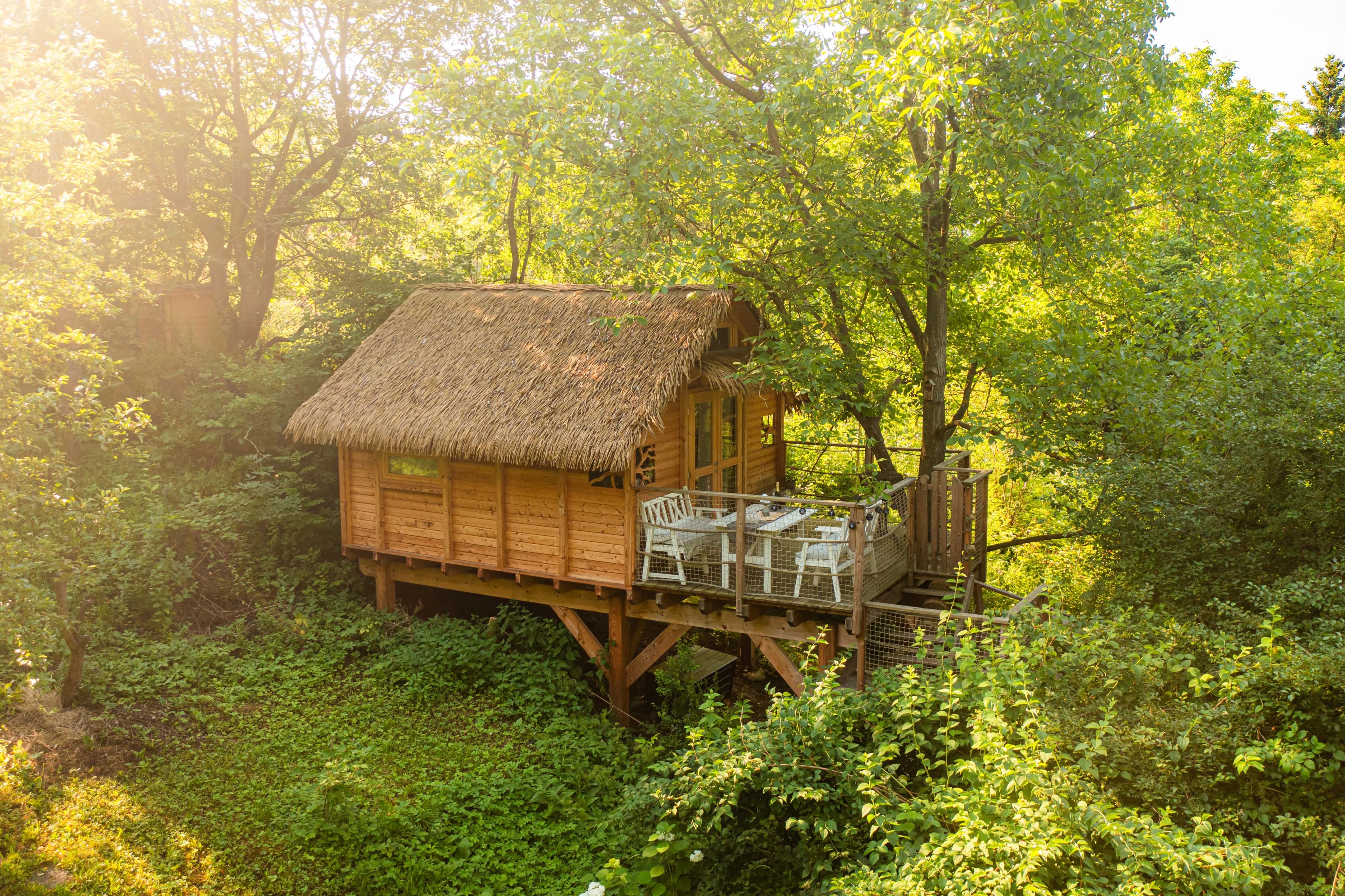 Treehouse U Studánky