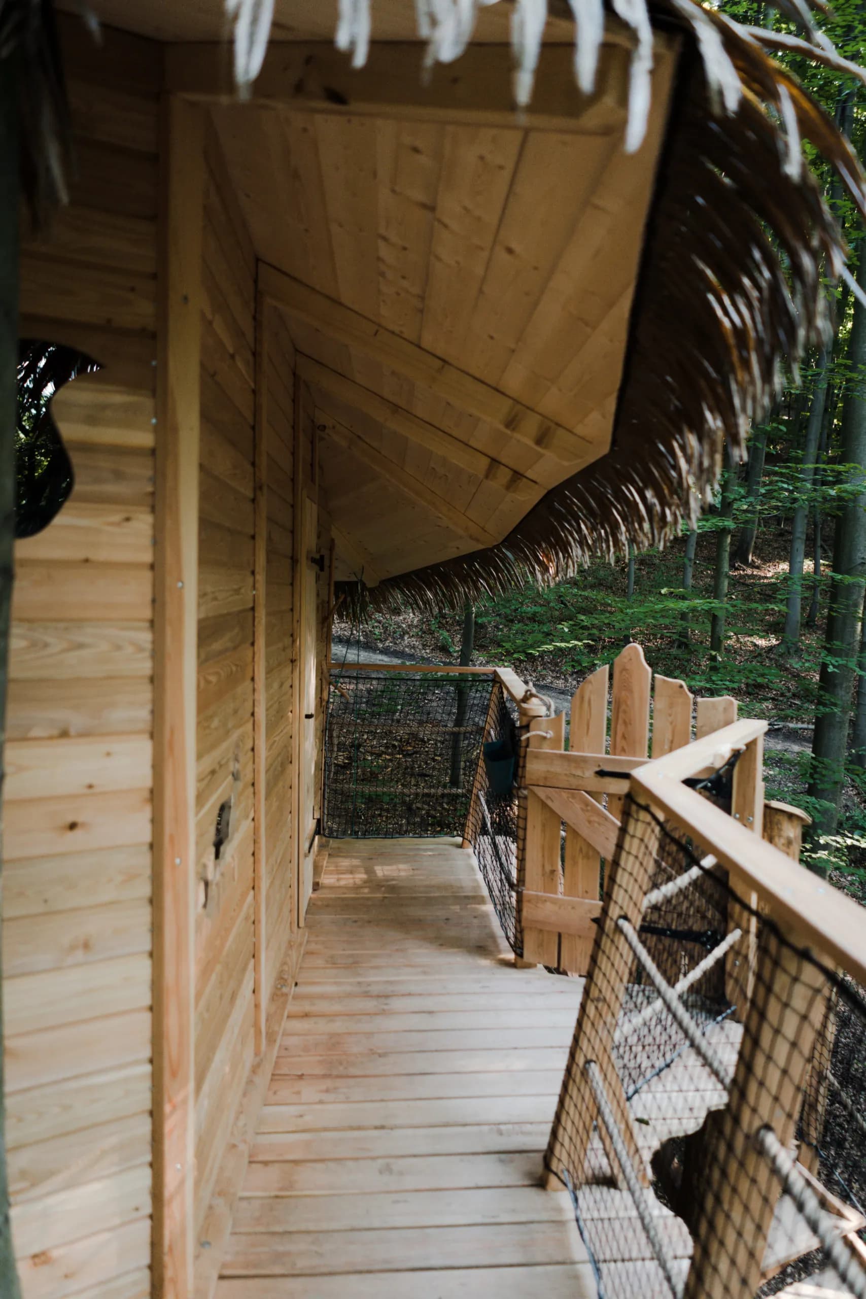 Tree house II. – image 4