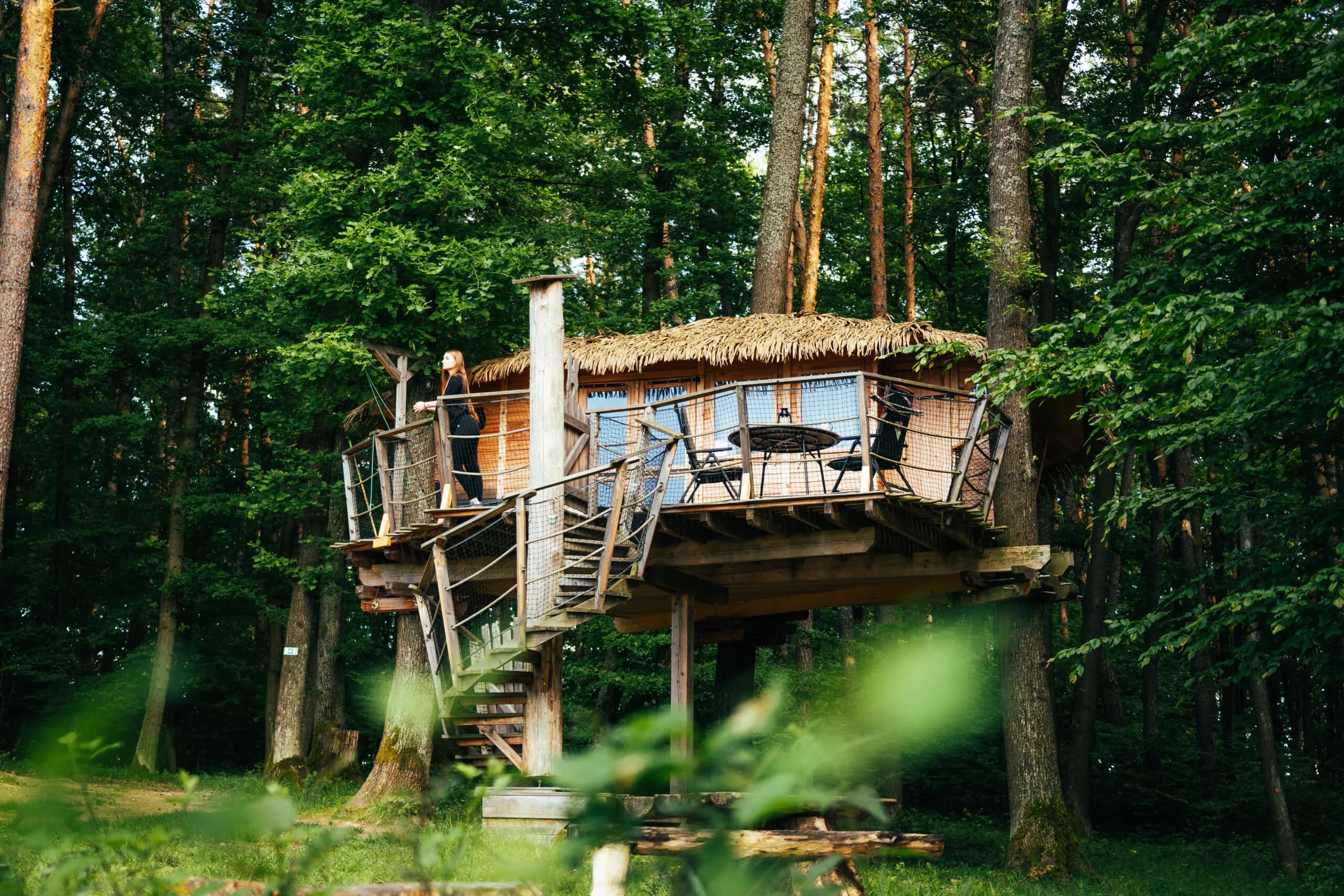 Tree house III.
