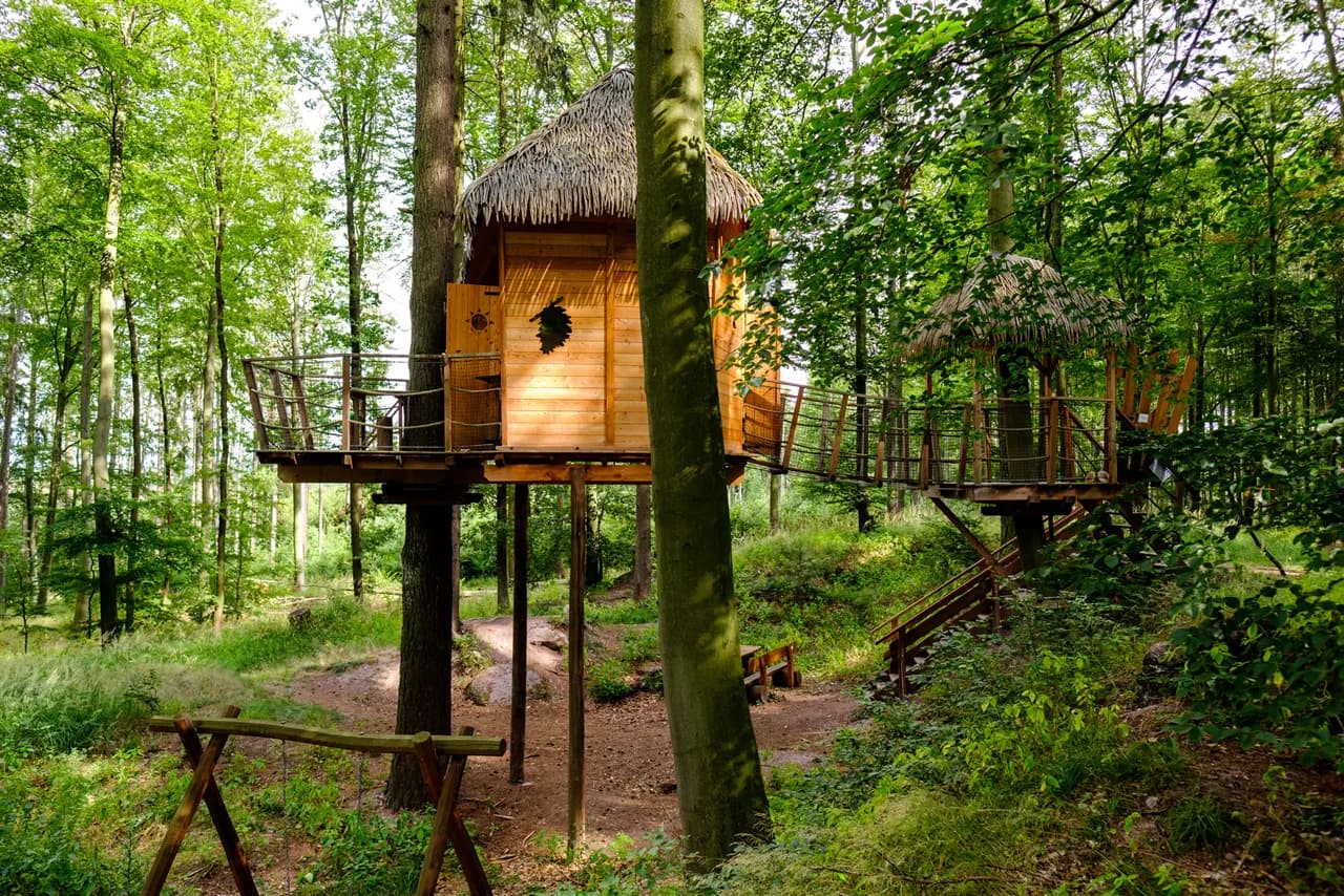 TREE HOUSE SOJČÍ HNÍZDO