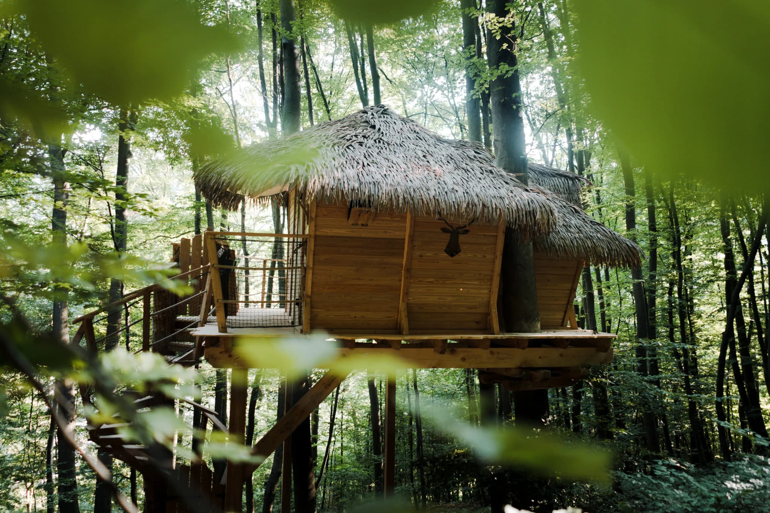 Tree house II.