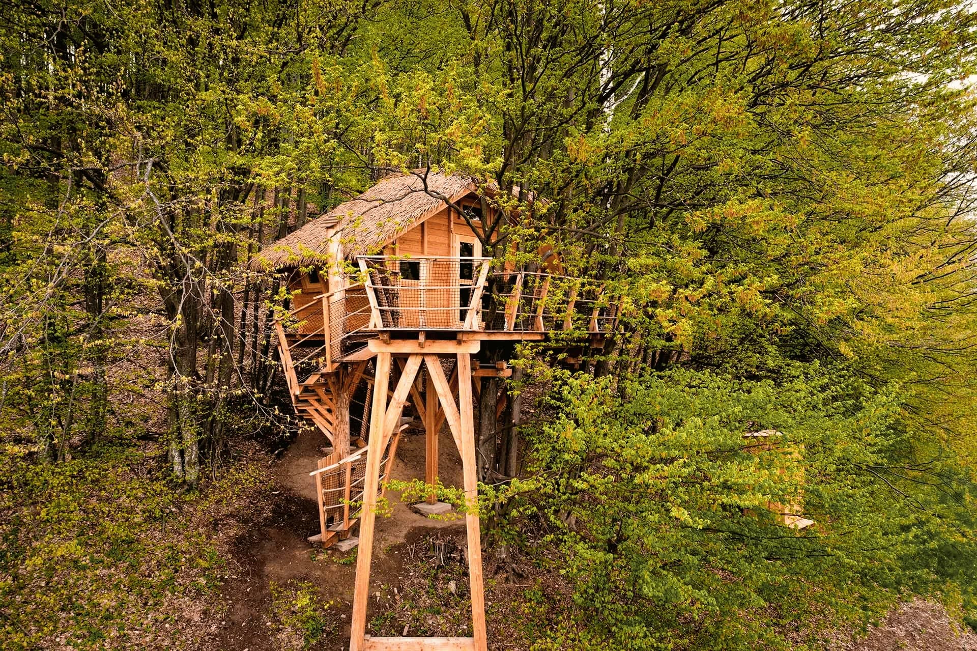 Treehouse Pod Lesom